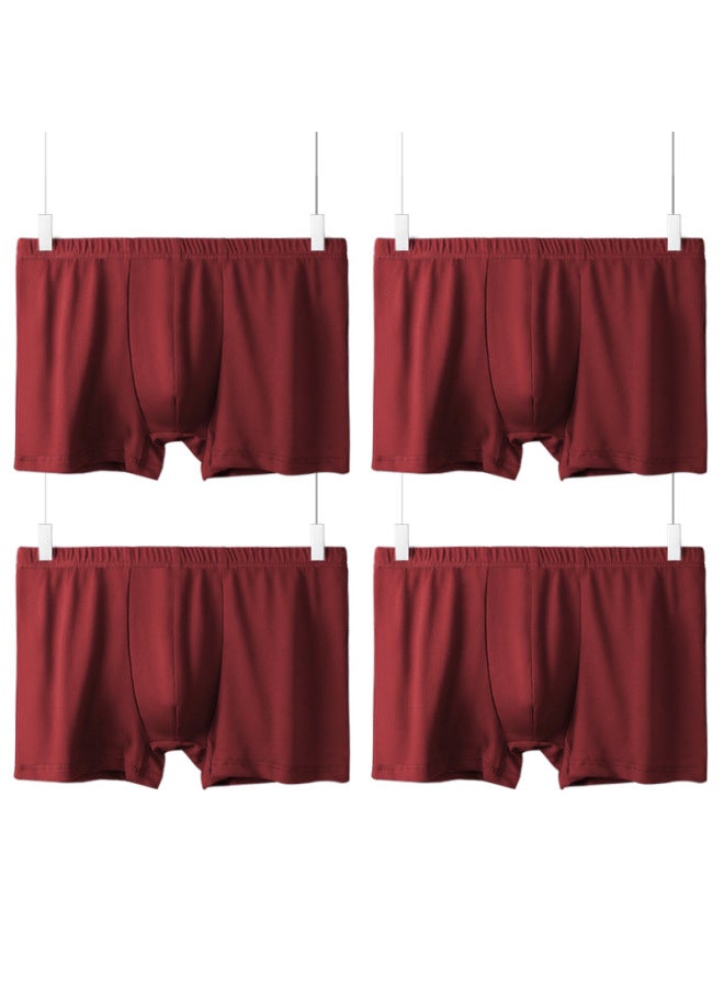 Austrian Element صندوق هدايا مكون من أربعة قطع: ملابس داخلية للرجال، شورت بوكسر للرجال، شورتات تنفسية للشباب، ملابس داخلية للرجال - Image 1