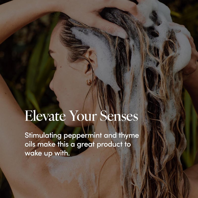 LATHER Mint Thyme Hair Wash - Invigorating Daily Cleanser for Normal to Oily Hair - 240ml - Image 3