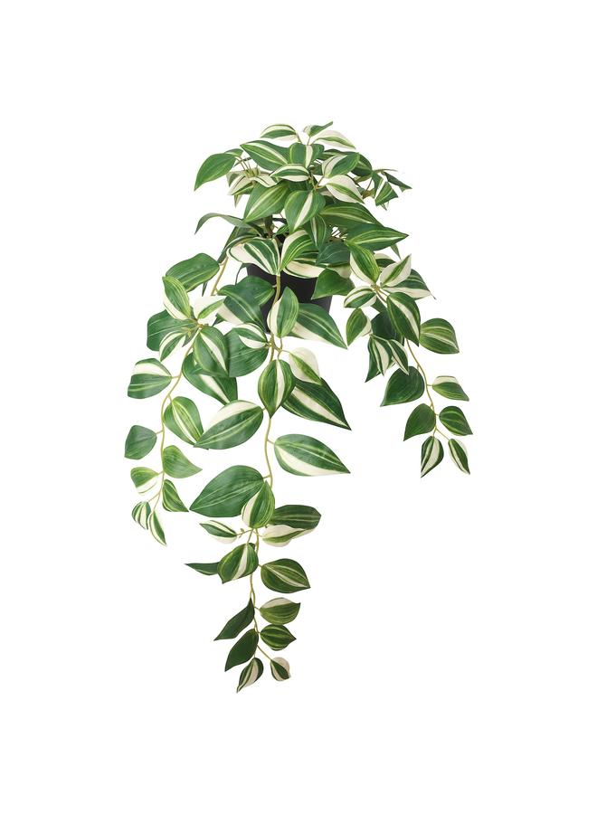 زبون نبات صناعي في وعاء، للاستخدام الداخلي/الخارجي/ترادسكانتيا زيبرينا، 12 سم - Image 1