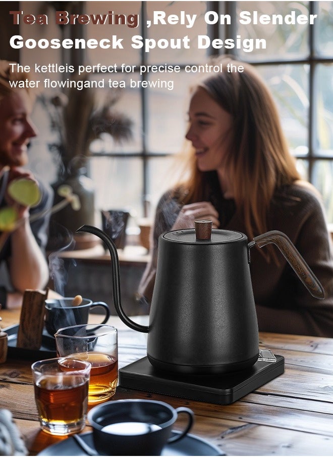 Gooseneck Electric Kettle,Electrically Heated Household Kettle Perfect for Boiling Water/Milk/Tea/Coffee,Protection from Overheating and Dry Boil,Pour-Over Kettle with 304 Stainless Steel Inner,360-Degree Rotation Base,Auto Safety Off,Wooden Handle,0.8L,1000W,Black - pzsku/ZE2D95A09C2A79FF6C009Z/45/_/1734683651/2d846859-e691-4041-8b72-7a0fcd65f2aa