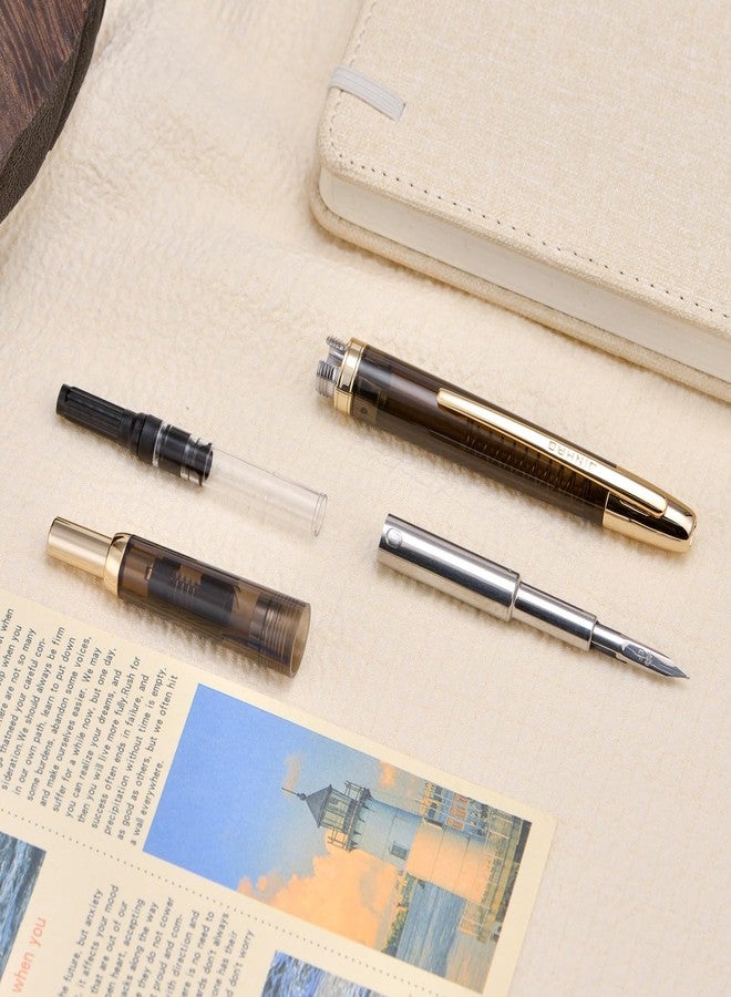 Wikult Jinhao 20 Press Fountain Pen, Transparent Black Retractable Fine Nib with Ink Converter Set (Golden Clip) - Image 5