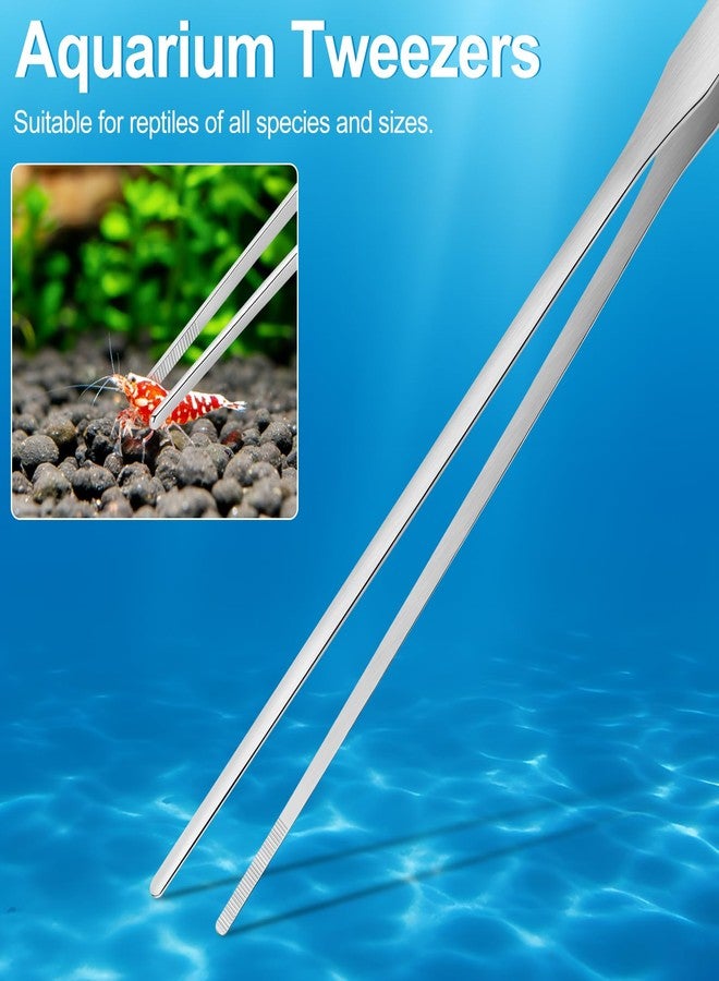 Oligei Terrarium Supplies 3 PCS, Stainless Steel Aquarium Supplies Set, Include Long Aquarium Tweezers, Curved Tweezers, Algae Scraper for Fish Tank Cleaning Plant Trimming - Image 4