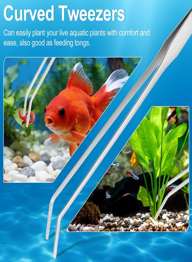 Oligei Terrarium Supplies 3 PCS, Stainless Steel Aquarium Supplies Set, Include Long Aquarium Tweezers, Curved Tweezers, Algae Scraper for Fish Tank Cleaning Plant Trimming - Image 5