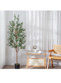 MAMATOONS 6ft Artificial Olive Tree with Pot Indoor Outdoor Artificial Plant 180cm Tall Realistic Look Olive Tree Artificial Tree Simulation Olive Tree With Fruit and Adjustable Branches  - Image 4