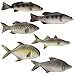 Hokoad 6 Pack Fake Fish Realistic Artificial Fishes Models 14 in Rubber Lifelike Sea Fishes Set Lifelike Fake Sea Fish Decor for Photography Props Party Display Kitchen Decor - Image 3
