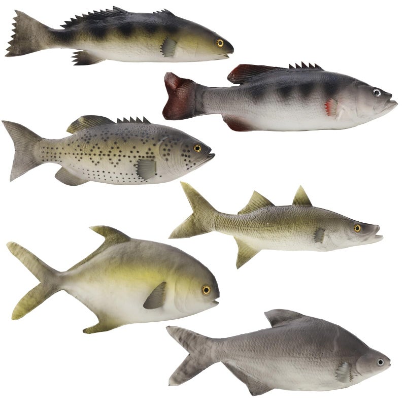 Hokoad 6 Pack Fake Fish Realistic Artificial Fishes Models 14 in Rubber Lifelike Sea Fishes Set Lifelike Fake Sea Fish Decor for Photography Props Party Display Kitchen Decor - Image 2