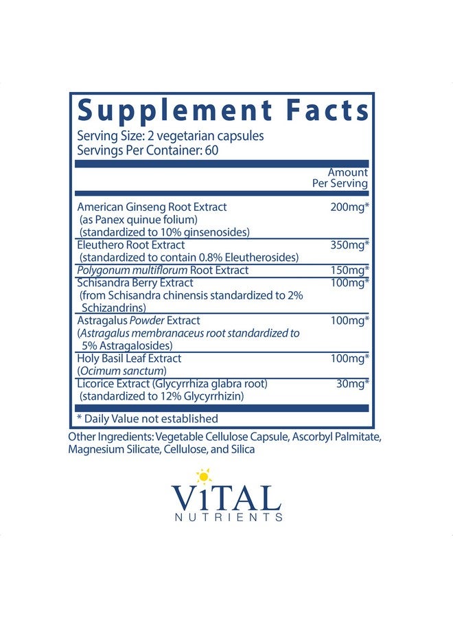 Vital Nutrients Energy Plus Nonstimulatory Herbal Energy Support 120 Vegetarian Capsules Per Bottle - Image 3