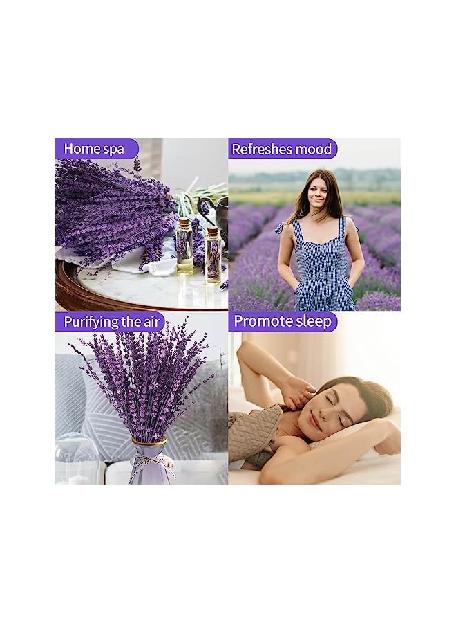 The Bros Dried Purple Lavender Flowers Bundle-Dried Preserved Lavender Bouquet 15-17" for Shower Weeding Home Vase Decor, Crafts, Aromatherapy, Fragrance, Fresh Silk Dry Live Plants, 50g(1.76oz) - Image 4