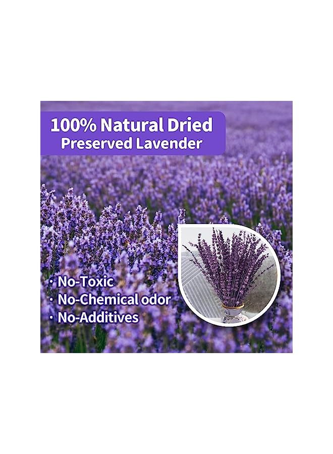 The Bros Dried Purple Lavender Flowers Bundle-Dried Preserved Lavender Bouquet 15-17" for Shower Weeding Home Vase Decor, Crafts, Aromatherapy, Fragrance, Fresh Silk Dry Live Plants, 50g(1.76oz) - Image 2