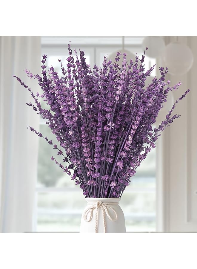 The Bros Dried Purple Lavender Flowers Bundle-Dried Preserved Lavender Bouquet 15-17" for Shower Weeding Home Vase Decor, Crafts, Aromatherapy, Fragrance, Fresh Silk Dry Live Plants, 50g(1.76oz) - Image 1