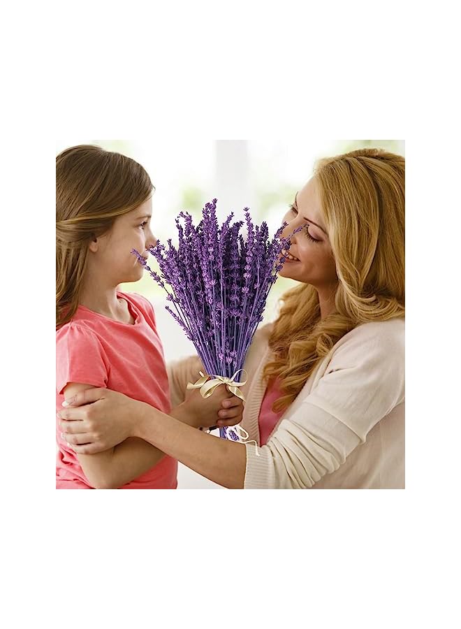 The Bros Dried Purple Lavender Flowers Bundle-Dried Preserved Lavender Bouquet 15-17" for Shower Weeding Home Vase Decor, Crafts, Aromatherapy, Fragrance, Fresh Silk Dry Live Plants, 50g(1.76oz) - Image 5