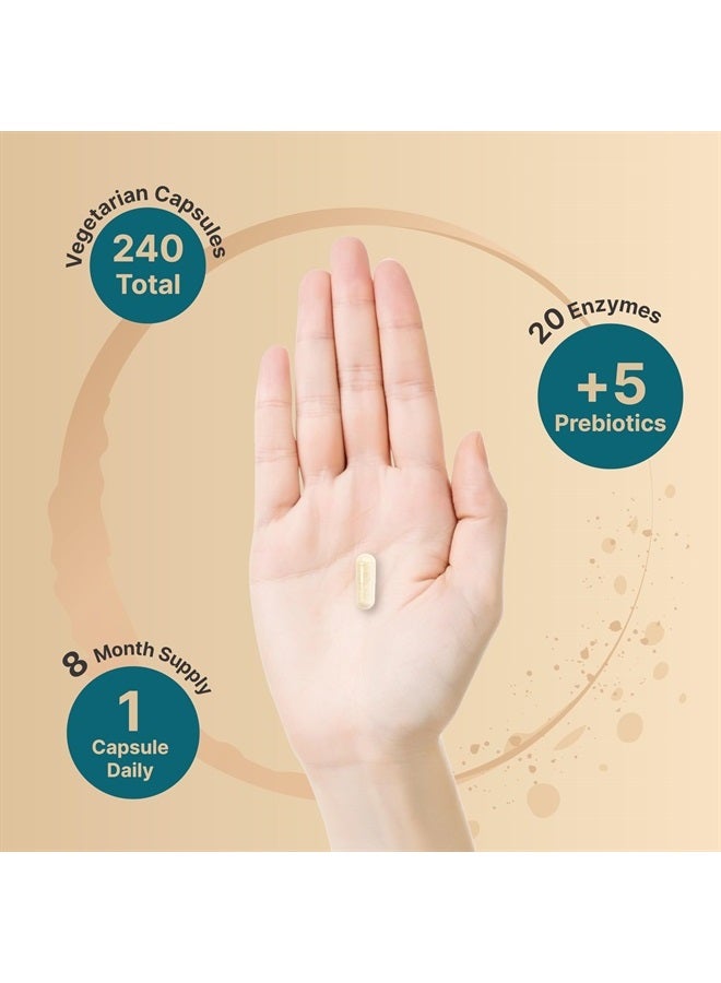 NatureBell Digestive Enzymes with Prebiotics | 240 Veggie Capsules - 20 Enzyme & 5 Prebiotic Complex – Support Gut Health, Bloating Relief for Women & Men, Non-GMO, Vegan Friendly - Image 4