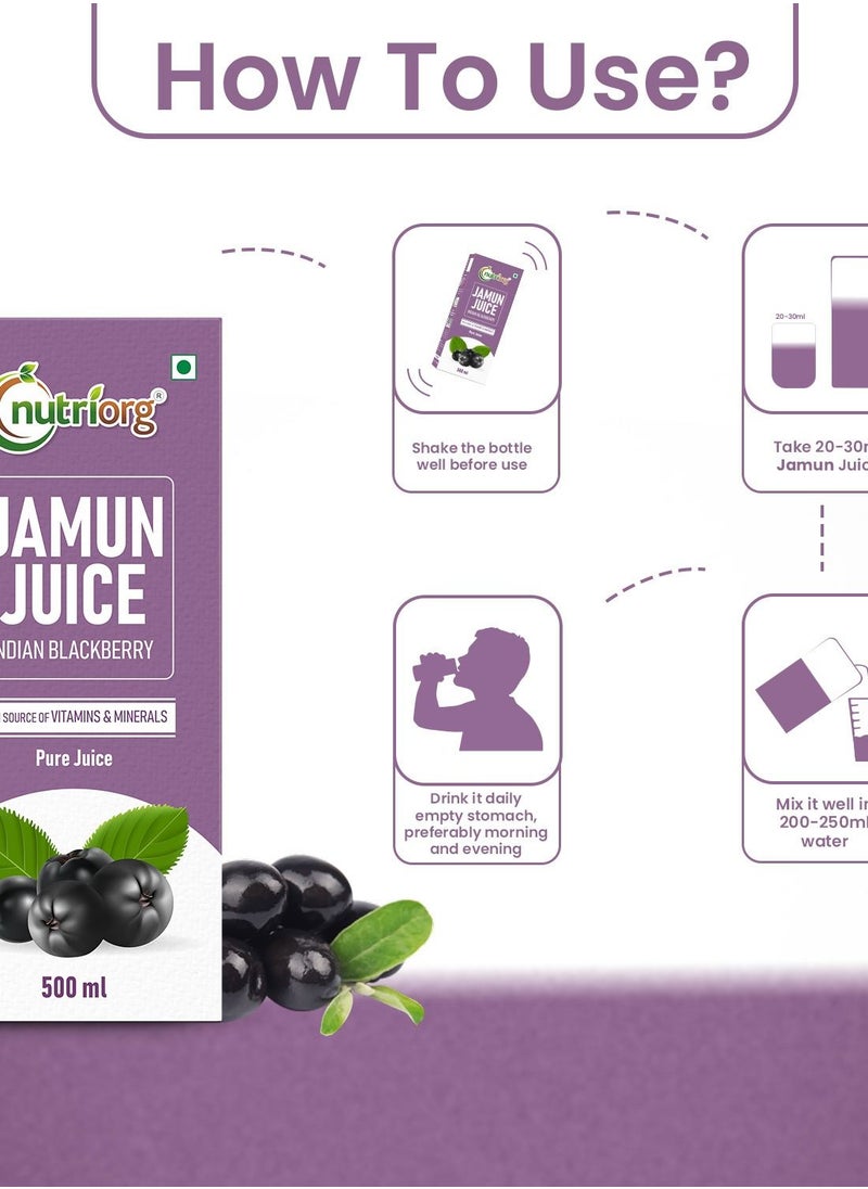 nutriorg Jamun Juice 500 ml, Controls Blood Sugar Level, Purifies Blood, Diabetes Care Juice, 100% Natural And Detox Juice  - Image 4