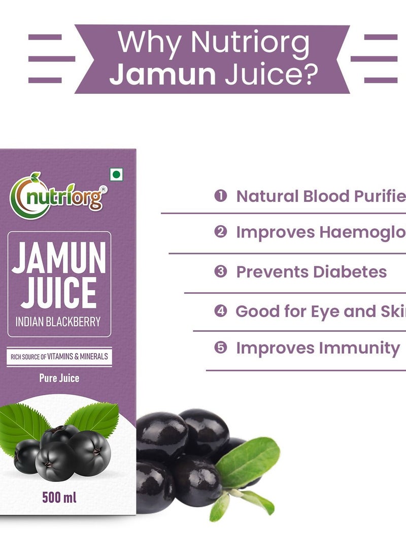 nutriorg Jamun Juice 500 ml, Controls Blood Sugar Level, Purifies Blood, Diabetes Care Juice, 100% Natural And Detox Juice  - Image 2