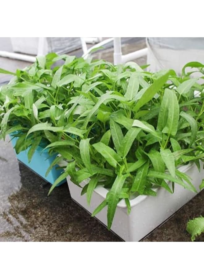 Meridian 14-Hole Hydroponic Growing System with TDS Meter, Air Pump, and Grow Pot, Blue - Image 2