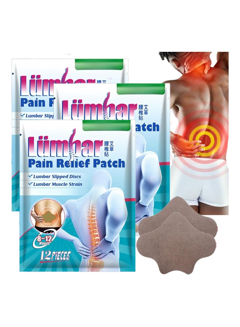 SYOSI 36PCS Pain Relief Patches, Pain Relieving Patch, Wormwood Heat Patches for Back Pain, Heat Patches for Pain Relief, Knee Pain Patches, Shoulder Heat Patch, Heat Patches Neck Pain, Muscle Pain Relief - Image 1