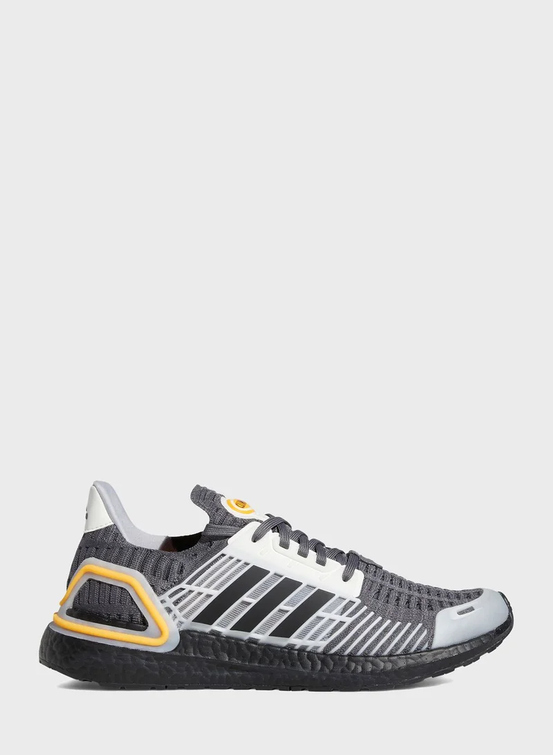 Adidas Ultraboost Cc_1 Dna