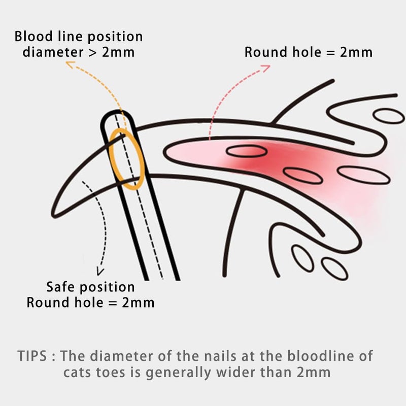 Qpets® مقص أظافر القطط ® للقطط الفارسية، مقص أظافر بتصميم دب لطيف، مقص أظافر قطط من الفولاذ المقاوم للصدأ مع مقبض PP، مقص أظافر للحيوانات الأليفة الصغيرة - Image 5
