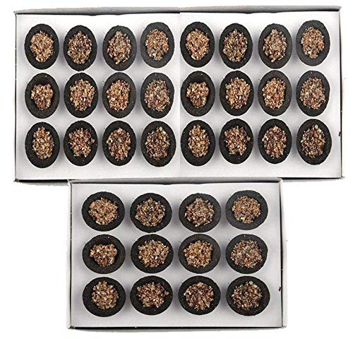 YTM YTM 36 pcs Special Pure Loban Guggal Dhoop Cup Natural Sambrani Dhoop Cup  - Image 1