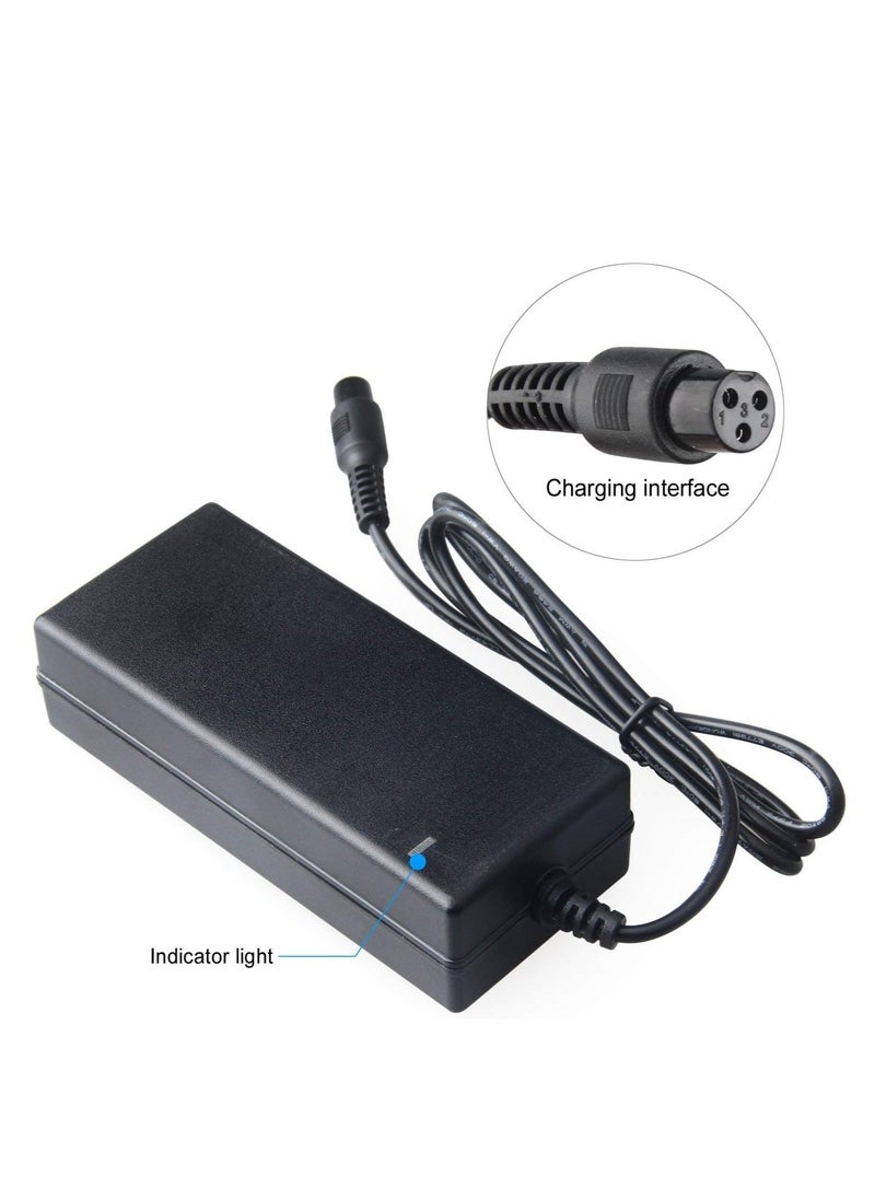 null - ELTERAZONE Power Charger Adapter For 2 Two Wheels Self Balancing Scooter Hoverboard - Image 1