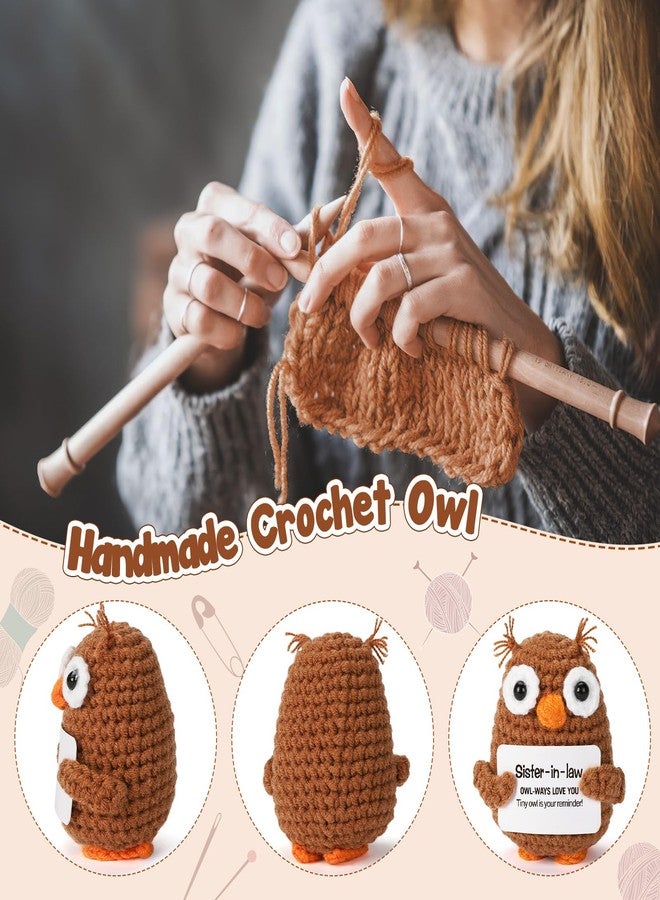 Hweijm Sister in Law Gifts from Sister Brother Inspirational Support Crochet Owl Birthday Funny Cheering Up Gift Office Decoration - Image 3