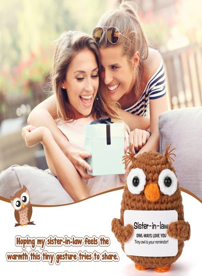 Hweijm Sister in Law Gifts from Sister Brother Inspirational Support Crochet Owl Birthday Funny Cheering Up Gift Office Decoration - Image 4