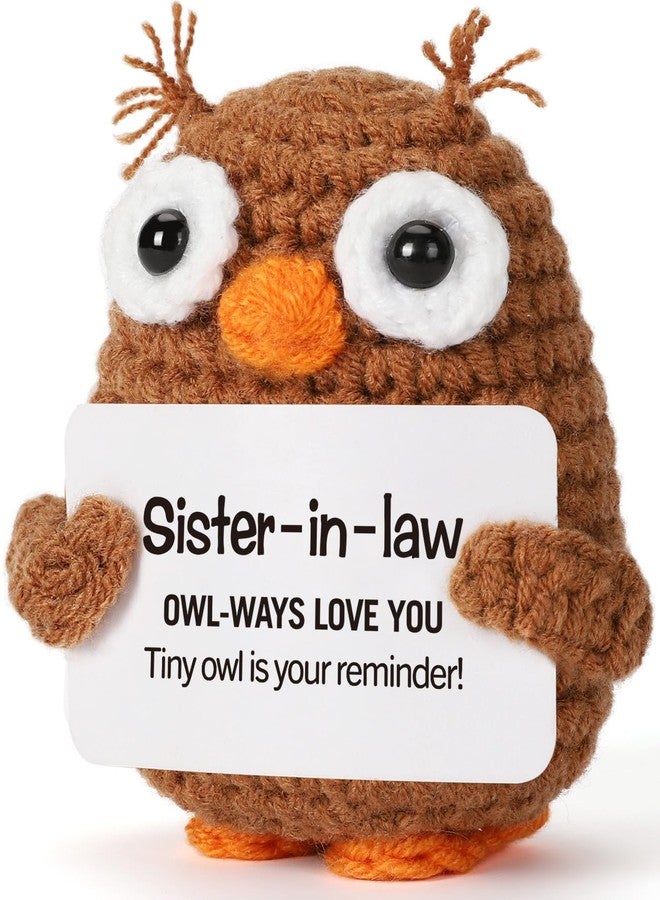 Hweijm Sister in Law Gifts from Sister Brother Inspirational Support Crochet Owl Birthday Funny Cheering Up Gift Office Decoration - Image 1