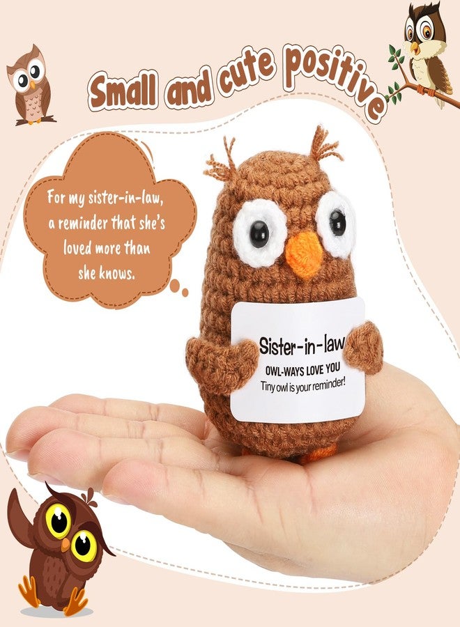 Hweijm Sister in Law Gifts from Sister Brother Inspirational Support Crochet Owl Birthday Funny Cheering Up Gift Office Decoration - Image 2