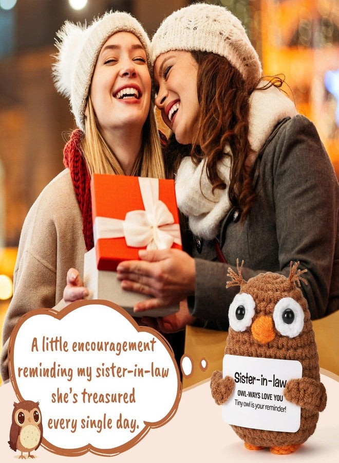 Hweijm Sister in Law Gifts from Sister Brother Inspirational Support Crochet Owl Birthday Funny Cheering Up Gift Office Decoration - Image 5