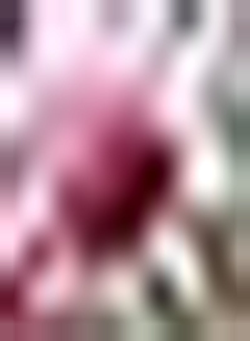 GGOOT 2pcs Roze Dahlia Bollen Binnen Buiten Tuin Boerderij Het Hele jaar Door Planten Hoge Sierwaarde Uniek Landschap Maken Snijbloem Boeket Beginnersvriendelijk - Image 1