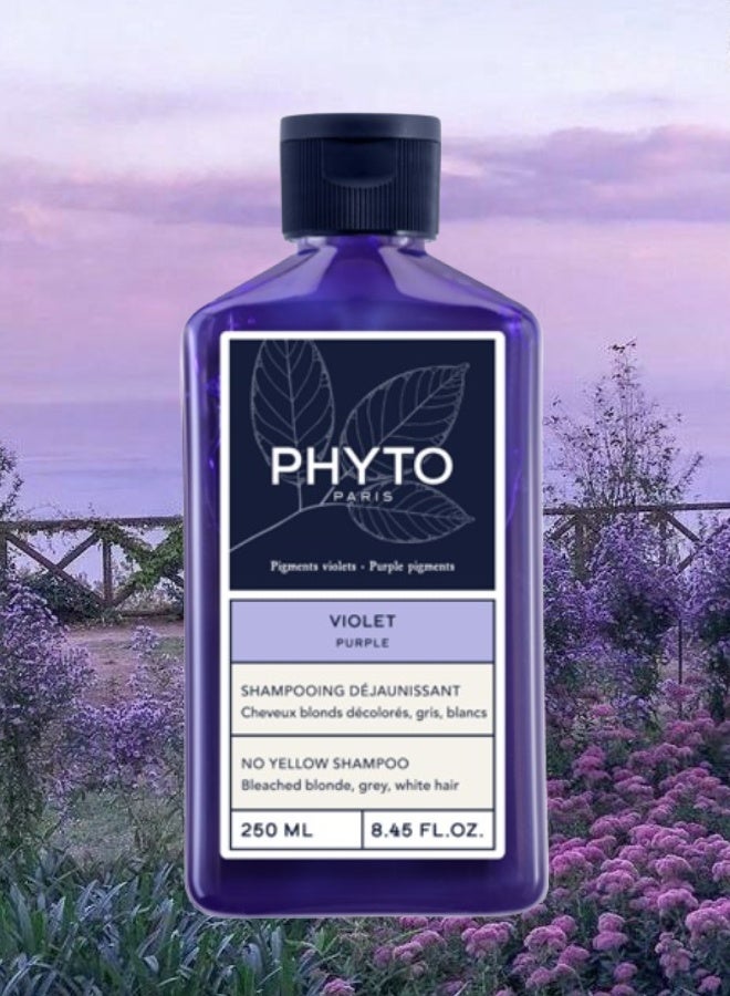 Phyto 6 Pieces Phyto Paris Purple Shampoo No Yellow 250ML - Image 2