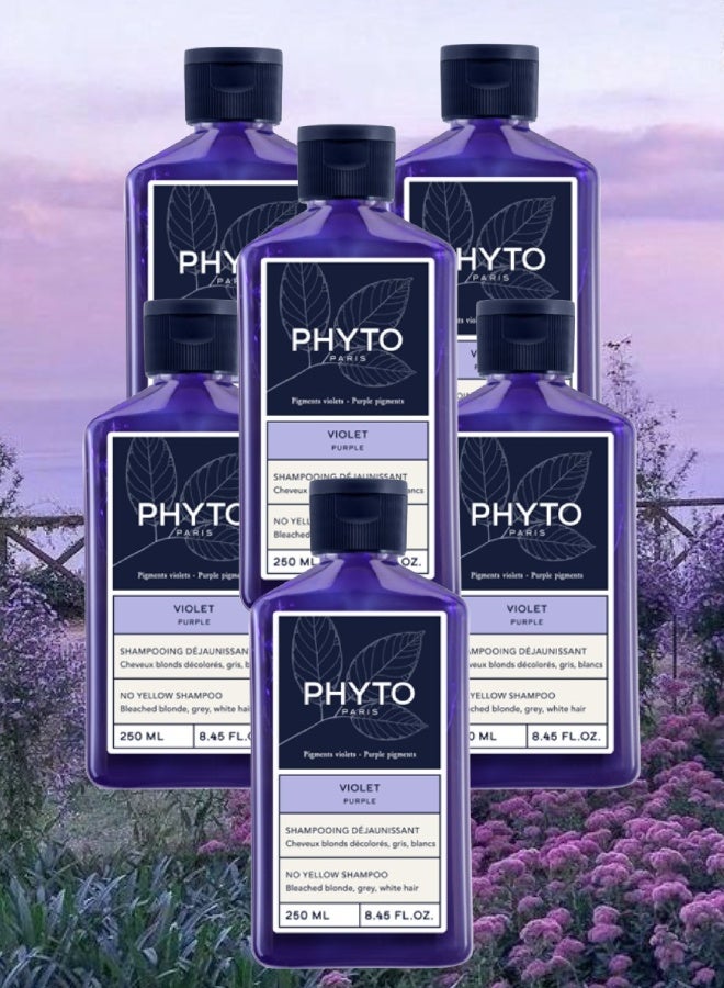 Phyto 6 Pieces Phyto Paris Purple Shampoo No Yellow 250ML - Image 1