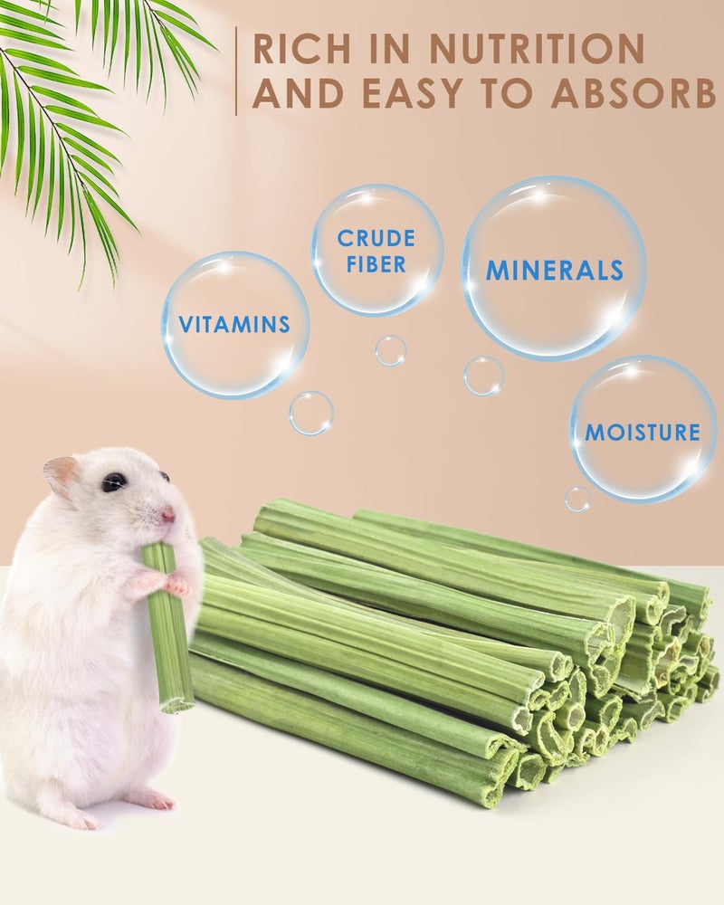Bissap 35PCS Rabbit Chew Sticks, Natural Papaya Stems Bunny Chews Treats for Rabbit Hamster Chinchilla Guinea Pig Small Animals Organic Molar Chewing Snack - Image 2