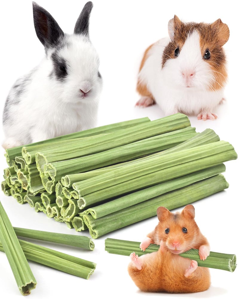 Bissap 35PCS Rabbit Chew Sticks, Natural Papaya Stems Bunny Chews Treats for Rabbit Hamster Chinchilla Guinea Pig Small Animals Organic Molar Chewing Snack - Image 1
