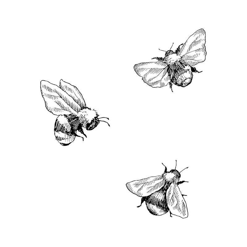 6 Sheets Temporary Tattoos Bee Tattoo Honeybee Tattoo Makeup Insect Temporary tattoo Fake Tattoos Neck Arm Chest for Women Men Adults
