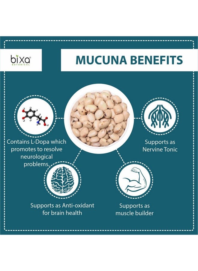 bixa BOTANICAL Mucuna Pruriens Powder | Velvet Bean Powder | Kapikacchu | Kaunch Beej | Ayurvedic Herbal Supplement ǀ Energy Booster | 1 Pound / 16 OZ | Gluten Free, Non-GMO, Steam Treated, Vegan, - Image 2