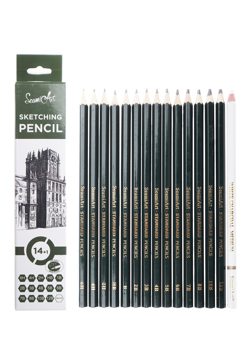 فن البحارة 15-Piece Sketching Pencil Set with Highlight White Charcoal Pencil - Art Drawing Kit for Artists and Students 翻译成阿拉伯语  - Image 5