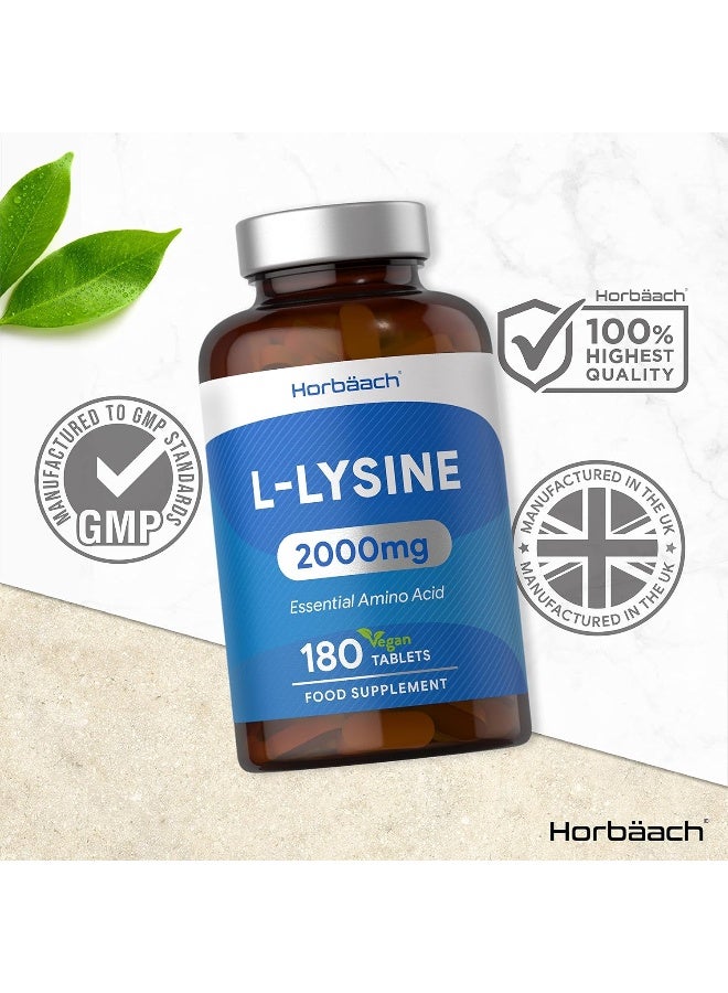 Horbäach L-Lysine 2000mg | 180 Tablets | Essential Amino Acid | Vegan & Vegetarian - Image 5