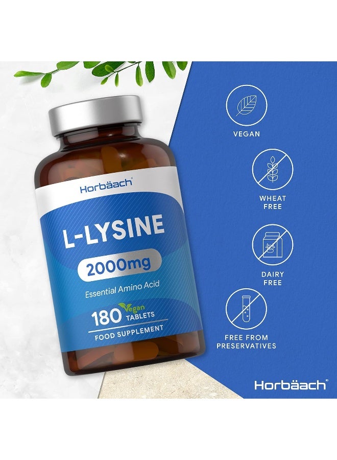 Horbäach L-Lysine 2000mg | 180 Tablets | Essential Amino Acid | Vegan & Vegetarian - Image 4