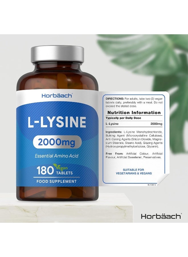 Horbäach L-Lysine 2000mg | 180 Tablets | Essential Amino Acid | Vegan & Vegetarian - Image 3
