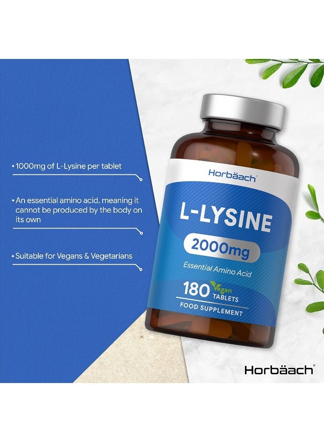 Horbäach L-Lysine 2000mg | 180 Tablets | Essential Amino Acid | Vegan & Vegetarian - Image 2