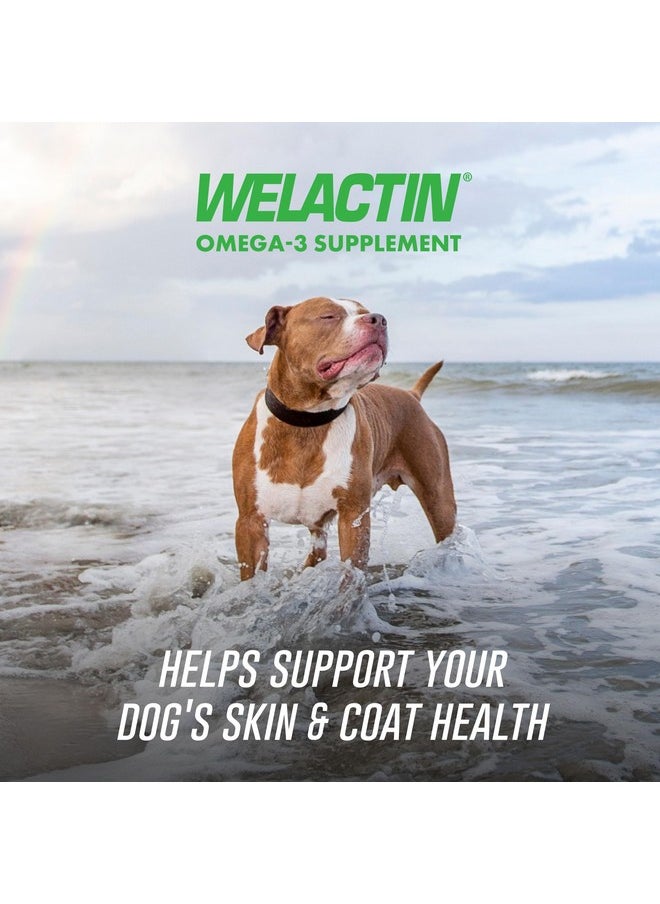Nutramax Laboratories Nutramax Welactin Daily Omega-3 Supplement For Dogs, Skin & Coat Health Plus Overall Health, 60 Soft Chews  - Image 2