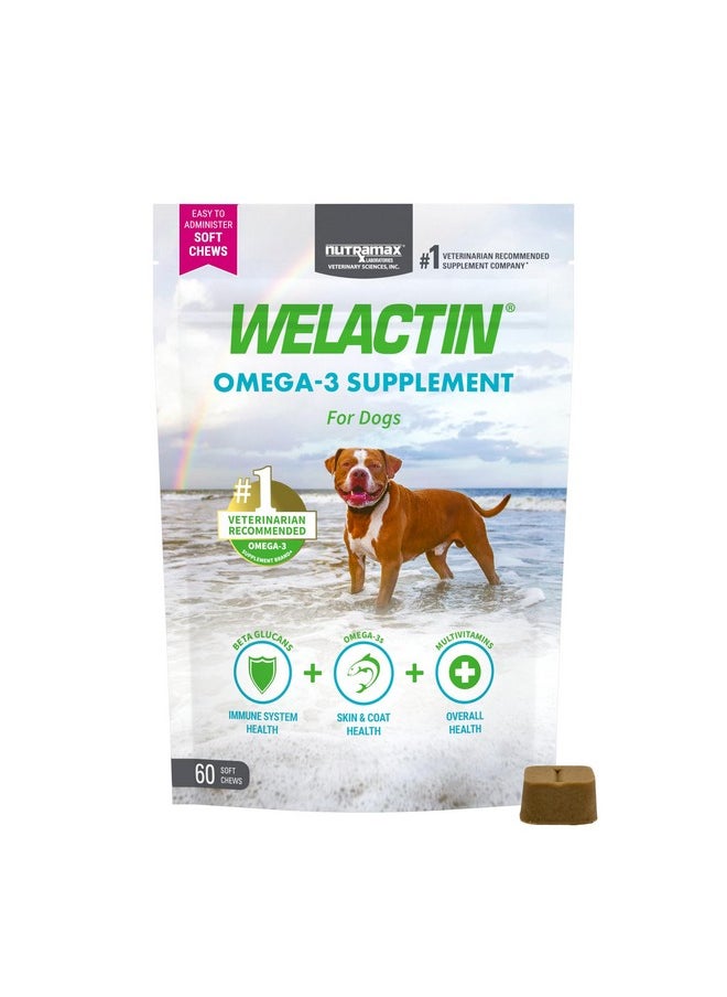 Nutramax Laboratories Nutramax Welactin Daily Omega-3 Supplement For Dogs, Skin & Coat Health Plus Overall Health, 60 Soft Chews  - Image 1