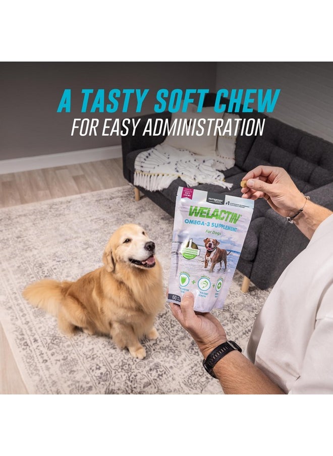 Nutramax Laboratories Nutramax Welactin Daily Omega-3 Supplement For Dogs, Skin & Coat Health Plus Overall Health, 60 Soft Chews  - Image 3