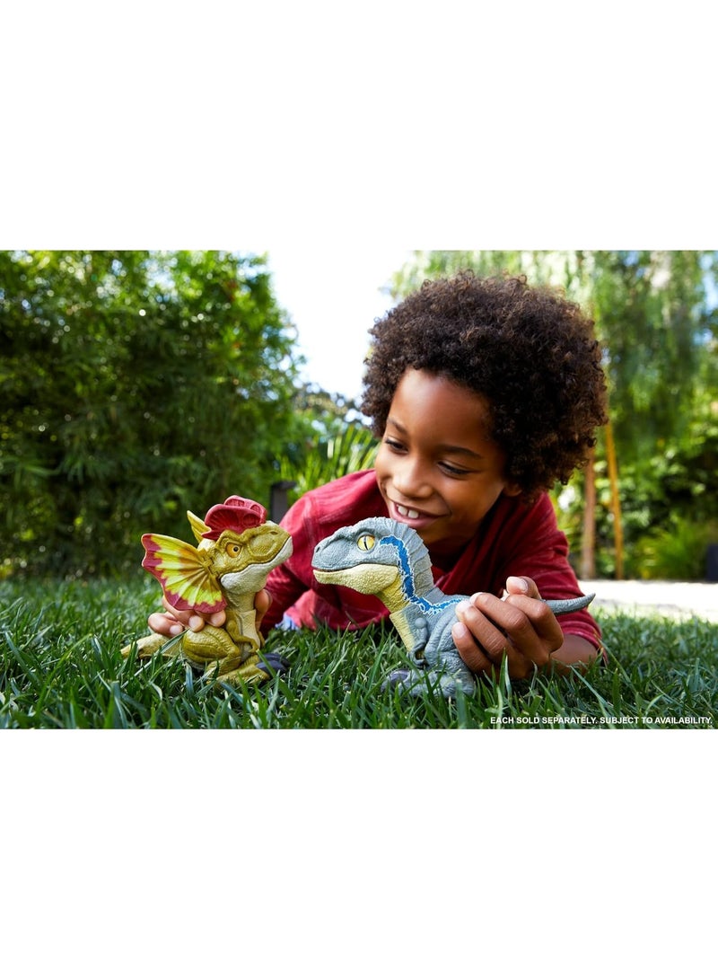 Jurassic World Dominion Uncaged Rowdy Roars – Velociraptor "Beta" with Action and Sound! It emits awesome roaring sounds and interacts with touch, fostering imagination and engagement and exciting children about the world of dinosaurs.  The perfect gift for Jurassic World fans ages 4 and up! - Image 5