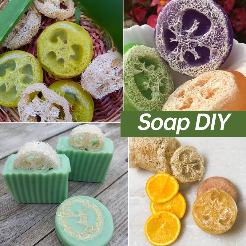 FRTIM Natural Loofah Sponge for Soap Making, 20 Pack Organic Loofahs Slices Cuts Set, Loofa Exfoliating Body Scrubber, Shower Sponge Luffas for Women and Men - Image 3
