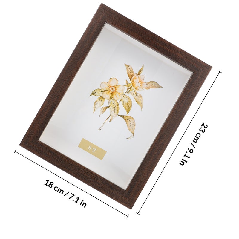 Souvenir Display Box for Dried Flowers, Metals and Photos with Durable Construction - Image 2