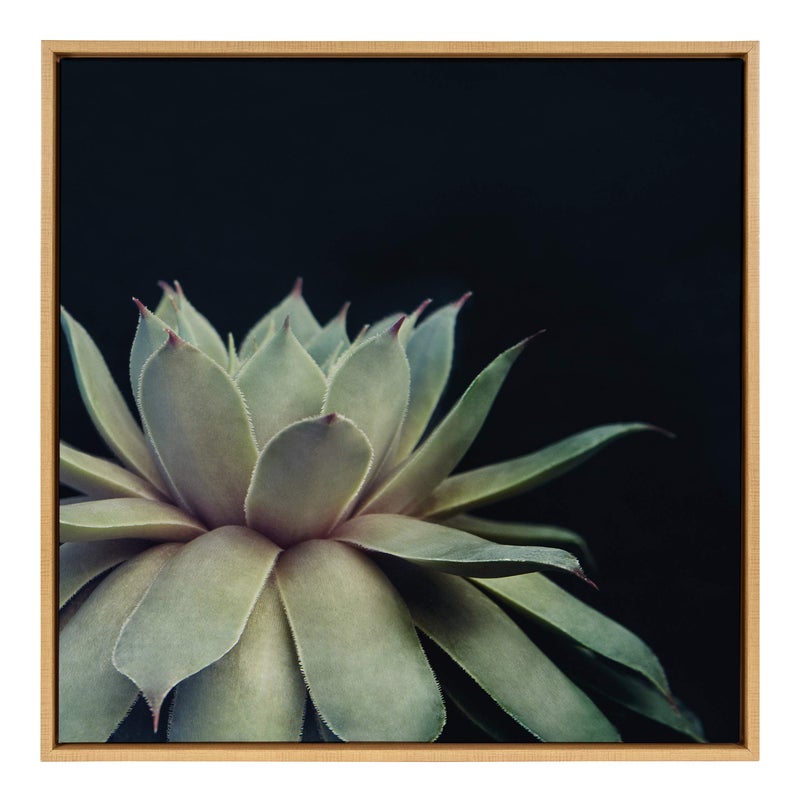 Kate and Laurel Kate and Laurel Sylvie Succulent 8 Framed Canvas Wall Art by F2 Images 30x30 Natural 
