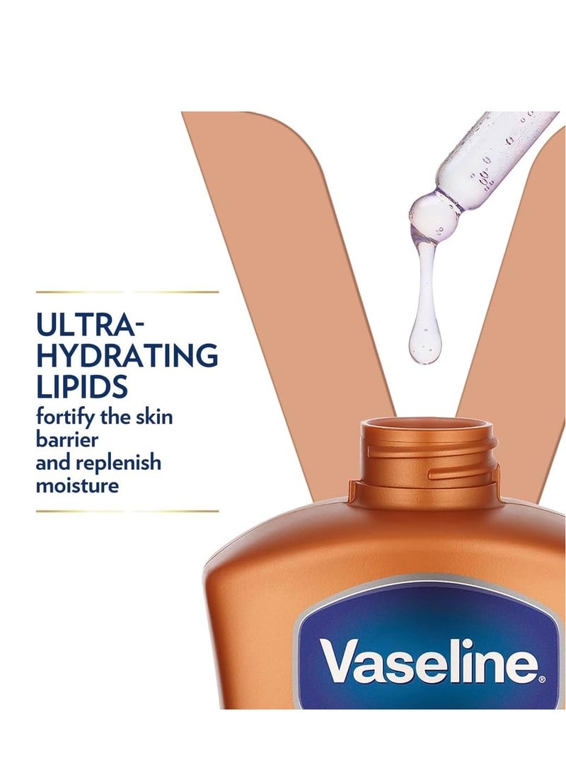 فازلين لوشن للجسم للعناية المركزة للبشرة الجافة إلى الجافة جدًا، بخلاصة الكاكاو، سريع الامتصاص، ترطيب يدوم 72 ساعة، 3 عبوات × 400 مل - Image 3