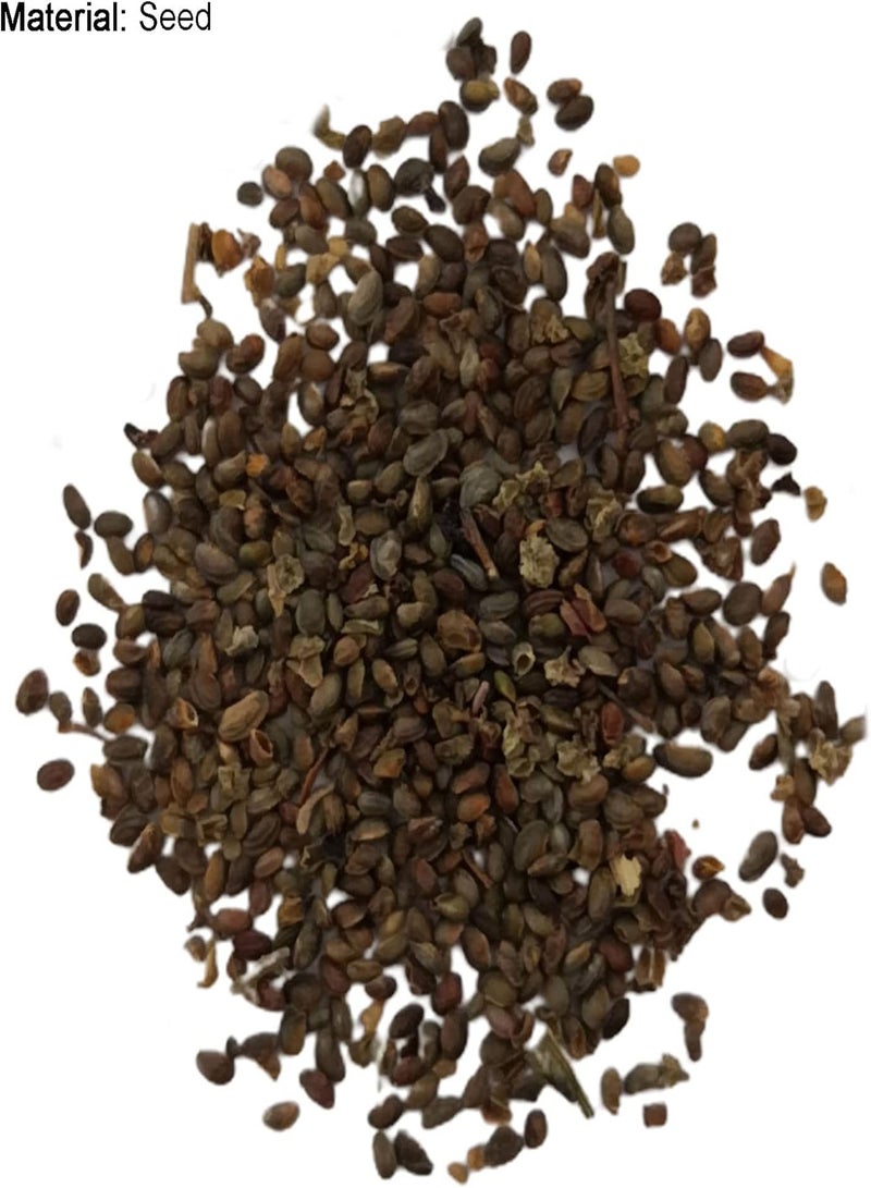 GGOOT Plant Seed 200Pcs/Bag Bonsai Seeds Decorative Attract Birds Fast Growing Mixed Color Dahlia Flower Seeds for Decorating - Dahlia Seeds - Image 5